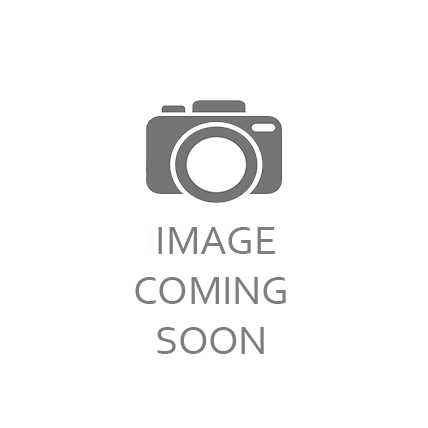 Modus Vivendi Pride Brief