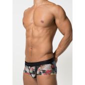 Toot Katsushika Hukusai Chicken Flock Nano Boxershort