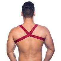 Andrew Christian Crave Mesh Harness in Red