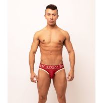 Sukrew V-String in Burgundy / Cream