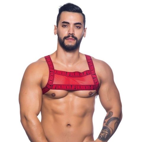 Andrew Christian Crave Mesh Harness in Red