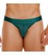 Jor Element Bikini Brief in Groen