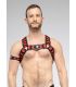 Maskulo Skulla X-Style Bulldog Harnas Zwart/Rood