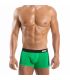 Modus Vivendi Pride Boxershort in Groen