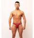 Sukrew Classic Brief in Burgundy/Cream