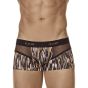 Clever Provocation Latin Boxershort in Gold