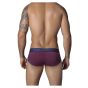 Clever Roma Piping Brief in Lila