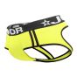 Jor Rocket Bikini Jockstrap in Neon