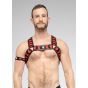 Maskulo Skulla X-Style Bulldog Harness in Black/Red