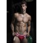 Pump Ribbed Brief in Rot