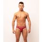 Sukrew V-Thong in Burgundy / Cream