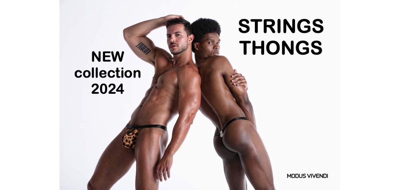Modus Vivendi Strings 2024